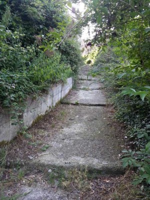 Bagnaia - Strada Pisciarello