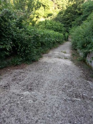 Bagnaia - Strada Pisciarello