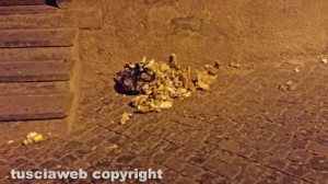 Viterbo - Degrado a via Macel Gattesco 