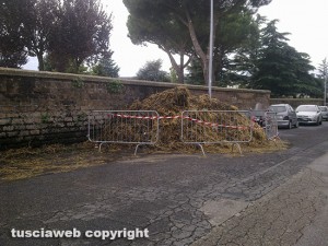 La paglia in via Domenico Corvi