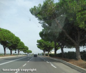 Le strade pulite nel Grossetano