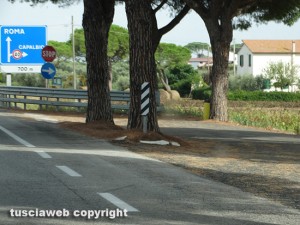 Le strade pulite nel Grossetano