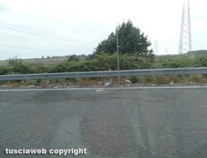 I rifiuti su una strada provinciale del Viterbese