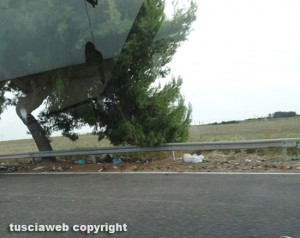 I rifiuti su una strada provinciale del Viterbese