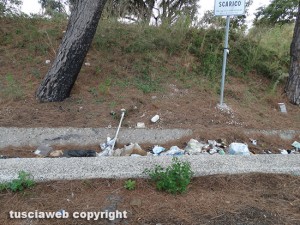 I rifiuti su una strada provinciale del Viterbese