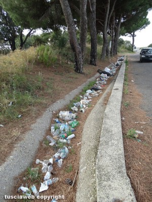 I rifiuti su una strada provinciale del Viterbese
