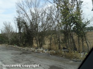 I rifiuti su una strada provinciale del Viterbese
