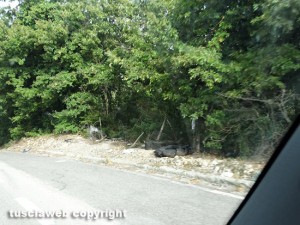 I rifiuti su una strada provinciale del Viterbese