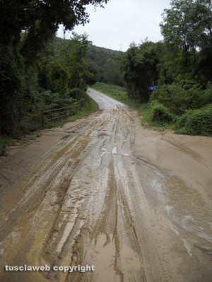 Degrado sulla strada che collega Grotte S.Stefano a Roccalvecce e Sant’Angelo