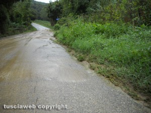 Degrado sulla strada che collega Grotte S.Stefano a Roccalvecce e Sant’Angelo