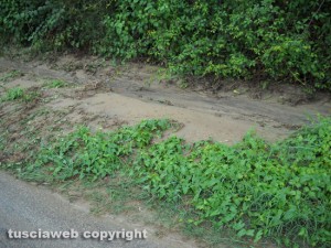 Degrado sulla strada che collega Grotte S.Stefano a Roccalvecce e Sant’Angelo