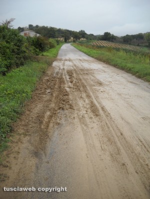 Degrado sulla strada che collega Grotte S.Stefano a Roccalvecce e Sant’Angelo
