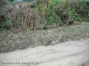 Degrado sulla strada che collega Grotte S.Stefano a Roccalvecce e Sant’Angelo