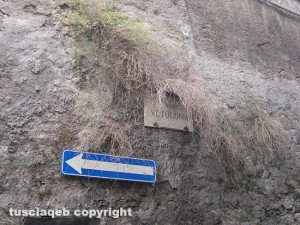 Viterbo -Erbacce sul cartello di via Vetulonia