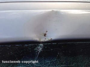 Viterbo - L'albero abbattuto sulla Renault Clio a via Bainsizza