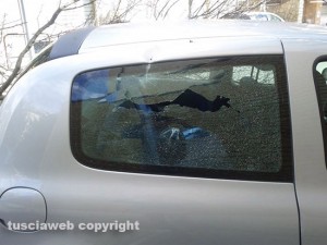 Viterbo - L'albero abbattuto sulla Renault Clio a via Bainsizza