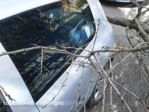 Viterbo - L'albero abbattuto sulla Renault Clio a via Bainsizza