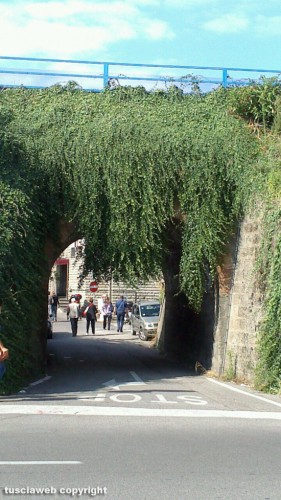 Viterbo - Erbacce sul sottopassaggio