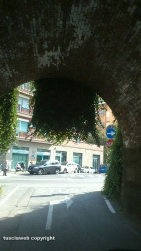 Viterbo - Erbacce sul sottopassaggio