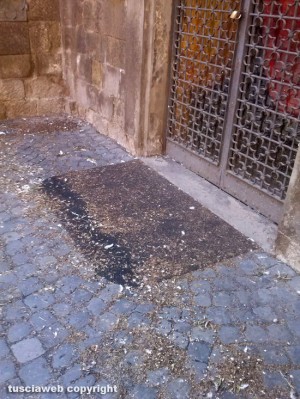 La sede della Pro loco di Viterbo