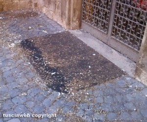 La sede della Pro loco di Viterbo