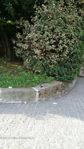 Il centro di Viterbo nel degrado