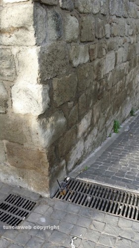 Il centro di Viterbo nel degrado