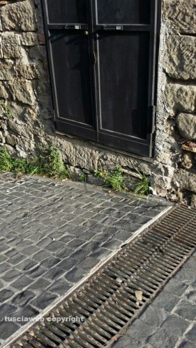 Il centro di Viterbo nel degrado