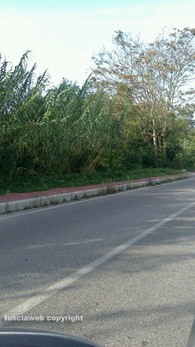 Viterbo - La pista ciclabile