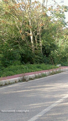 Viterbo - La pista ciclabile