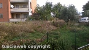 Erba altissima di fronte al condominio di via Corrado Alvaro