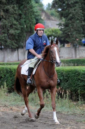 Gavino Sanna con il cavallo femmina baio purosangue di sei anni, “Papessa”