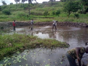 I progetti in Congo dell'associazione onlus di Corchiano