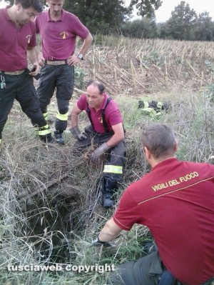 Sipicciano - Le operazioni di recupera del cane caduto in una buca profonda 10 metri