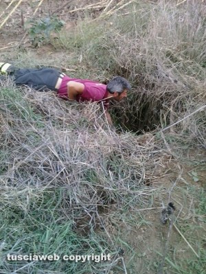 Sipicciano - Le operazioni di recupera del cane caduto in una buca profonda 10 metri