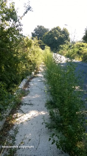 Via Francigena - Vetralla loc. Giardino