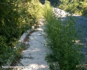 Via Francigena - Vetralla loc. Giardino
