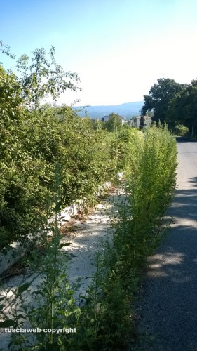 Via Francigena - Vetralla loc. Giardino