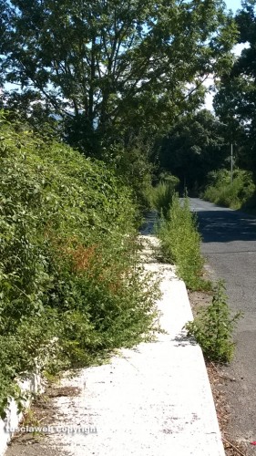 Via Francigena - Vetralla loc. Giardino