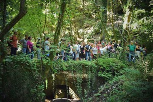 L'escursione a Bomarzo della pro loco di Viterbo