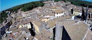 Ronciglione - Una particolare veduta del castello