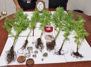 La droga sequestrata dai carabinieri di Vetralla
