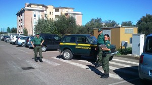 Le guardie ecozoofile al lavoro