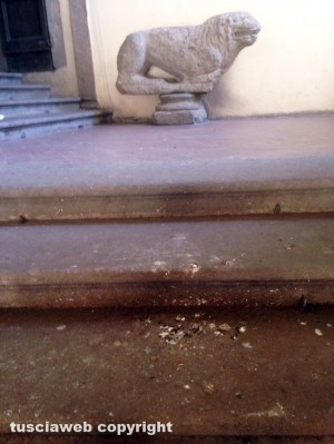 Viterbo - Gli escrementi di piccione sulle scale d'accesso alla Sala Regia