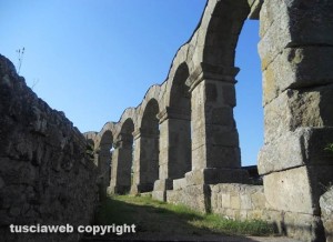 Il teatro romano di Ferento