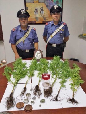 La droga sequestrata dai carabinieri di Vetralla 