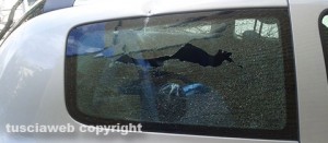 Viterbo - L'albero abbattuto sulla Renault Clio a via Bainsizza