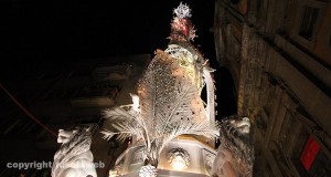 Santa Rosa 2014 - Fiore del cielo