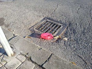 Viterbo - Sacchetto con la cacca del cane lasciato su un tombino ostruito in via Lega 