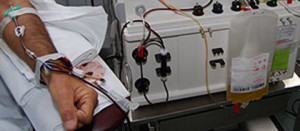 Un volontario dona il sangue